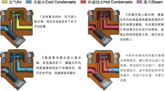 進(jìn)口膜盒式疏水閥