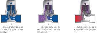 進口雙金屬溫調(diào)式蒸汽疏水閥