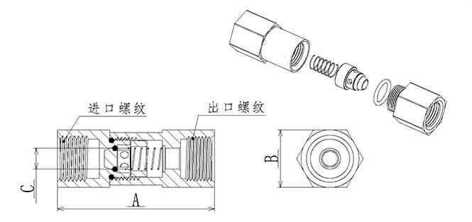 進(jìn)口高壓單向閥